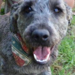 D 152cdb8b 1007 4b24 b97b 291340715ce8