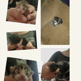 D e6968540 a978 4a84 a81d 1149081246d7