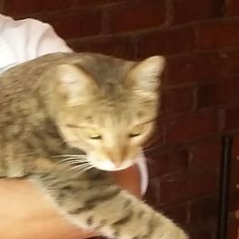 D 26ca3f73 e4e4 4add 87c1 88654b52f213