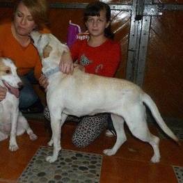 D ff78d006 28d4 4262 a793 ef2f495b87dd