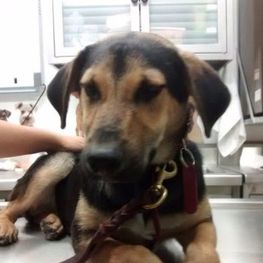 D 63a43e06 6308 472b a41c 3161d1cb0503