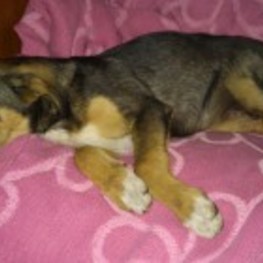 D 0c4ed7aa 9cb6 44b5 9a31 286ea421177b