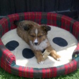 D 4e4a3773 a959 4c86 bfd0 97d269c5af73