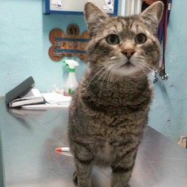 D 564982f5 b859 4c2e 8b17 93e87b5713a0