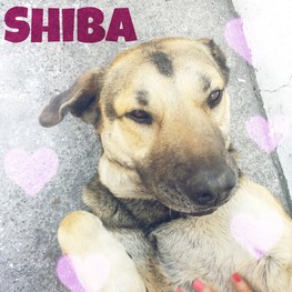 D 27eb163f 3559 42f0 8702 2b31b2780646