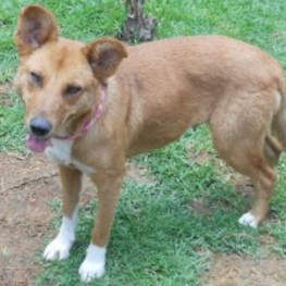 D 36ba25fe bf17 445d ab2f 20b21d394325