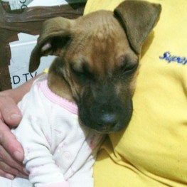 D 54a2f3c1 d625 4678 af19 6b798b991372