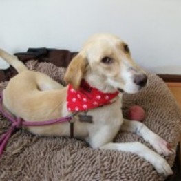 D d837a9ef 4848 4e60 8efd 1fba479e624f