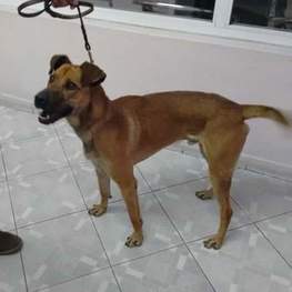 D 4a14d543 2398 4fed bd4e 499ad9090adc