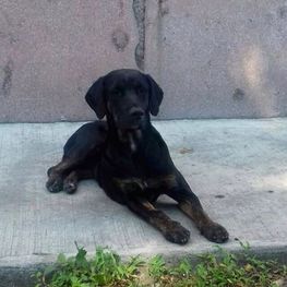 D 33f0e27c 737a 4559 b7af efab87eeda45