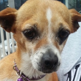 D 2710743d 20de 4c4c a45c c1beca26757f