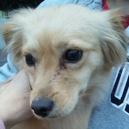 D b99f5252 caa4 438b b12e 760c5d24d122