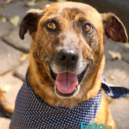 D 5507da5c e363 429f a53e d17146cd7231