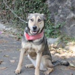 D 6fd900cc 30e6 4a47 b361 53967724c4b4