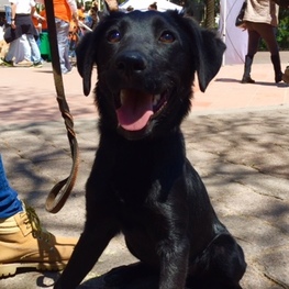 D 0c948aa0 74c8 401e 9f3f fb594e4ad460