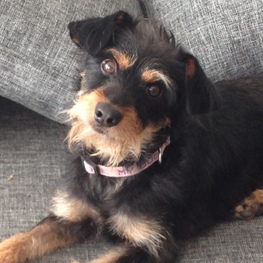 D be9449c7 f89f 4f48 9c4a 218c9a96be6b