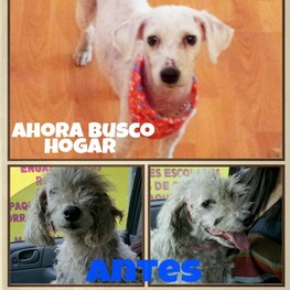 D b5f6e96b 66fd 4d12 8c18 8d837e01824b