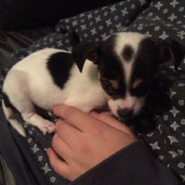 D a44c0838 9a47 4421 9554 2ffcbc7983d7