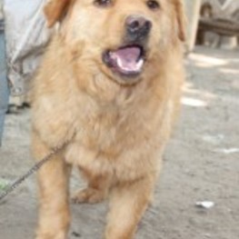 D 86c26c1c ec6a 4626 b76c 0b783e01bdfe