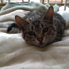 D 500239d6 e0d0 475f bac0 1abc3391c456