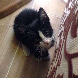 D 5354998d 21f0 4075 a40a 52454217d331