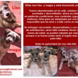 D 99b84ae3 2611 4695 a2e0 3de72855cb56