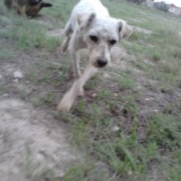 D 305ff9a2 428d 4e52 b820 0c43b92df007