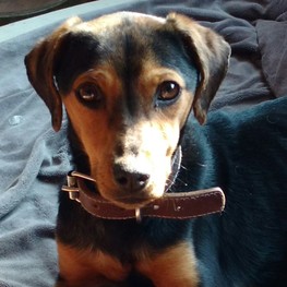 D f783ea4b 5d84 4182 ba4f c0f0ab44db94