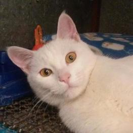 D 41cd2927 bb64 46cd aa39 080ec0d259e0