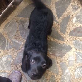 D b73d555f cf13 4171 8b93 11fe46136339