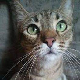 D fc7d7b48 c3ae 47a1 8b69 a31ceba7f7ff