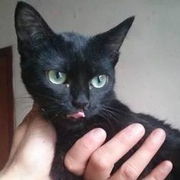 D dd627a95 3564 4d45 a0af 6314d0422e59