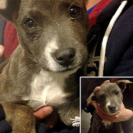 D 0c38c536 39f6 47f3 9fc3 a40fadd961a3