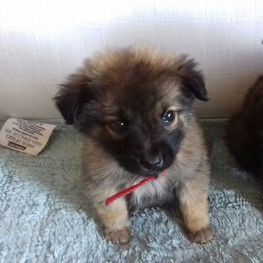 D 13b053a3 94ef 4558 8c97 9aa6901c74b2