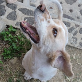 D e337c384 de9a 4ed8 89b7 4adebe2ea77d