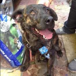 D 88cbae5b f717 4b92 baad d4894dc8fe8a