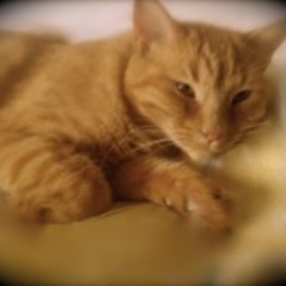 D 7296e5ba 8172 4dba 9897 043c4a0bc637