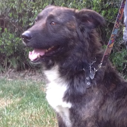 D 672a637e 2c73 4fe1 b69e c547741c159d