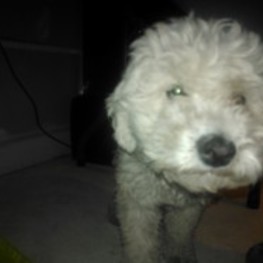 D 5ccb7cd1 34a9 4369 97d8 c7c98115a8e5