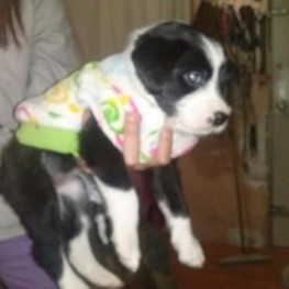 D 3bbfd337 5f93 43df 86d2 5a902e135fa9