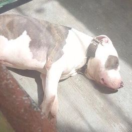 D 9191349b ad2b 4e89 8afa 41d205cefe39