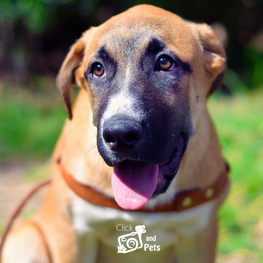 D fd04dea1 fd27 4b32 ae6f ab17954399fa