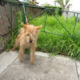 D 037aa100 538c 4739 bf8e 5d8b5188656c