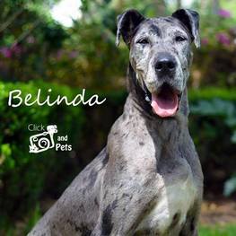 D 22b0dabd ce24 46ac 926e 184613e4f1e1