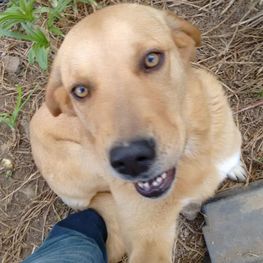 D 49b01181 f85d 4f96 92a1 31b719707b50