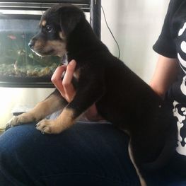 D a4b85243 e214 4a66 bf47 e8e4fafd67e1