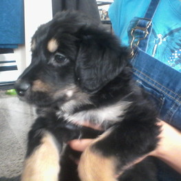 D 6baf9015 ea9b 4f2e 8b28 7eab2e7a992d