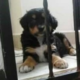 D bf509069 f3a1 4580 95db 6b60c97c7cd0