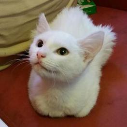 D 9d19ca7b 9935 4012 8aa2 20504a01ad8b