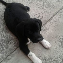 D 95a0c889 36d1 4f1c 9dd5 73572c6d0c00